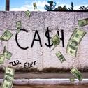 Cash