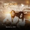 Badwiz - Peace of Mind