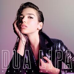 Dua Lipa《No Goodbyes吉他谱》_旋律优美流畅