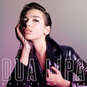 IDGAF - Dua Lipa (Pro Karaoke) 带和声伴奏 （升8半音）