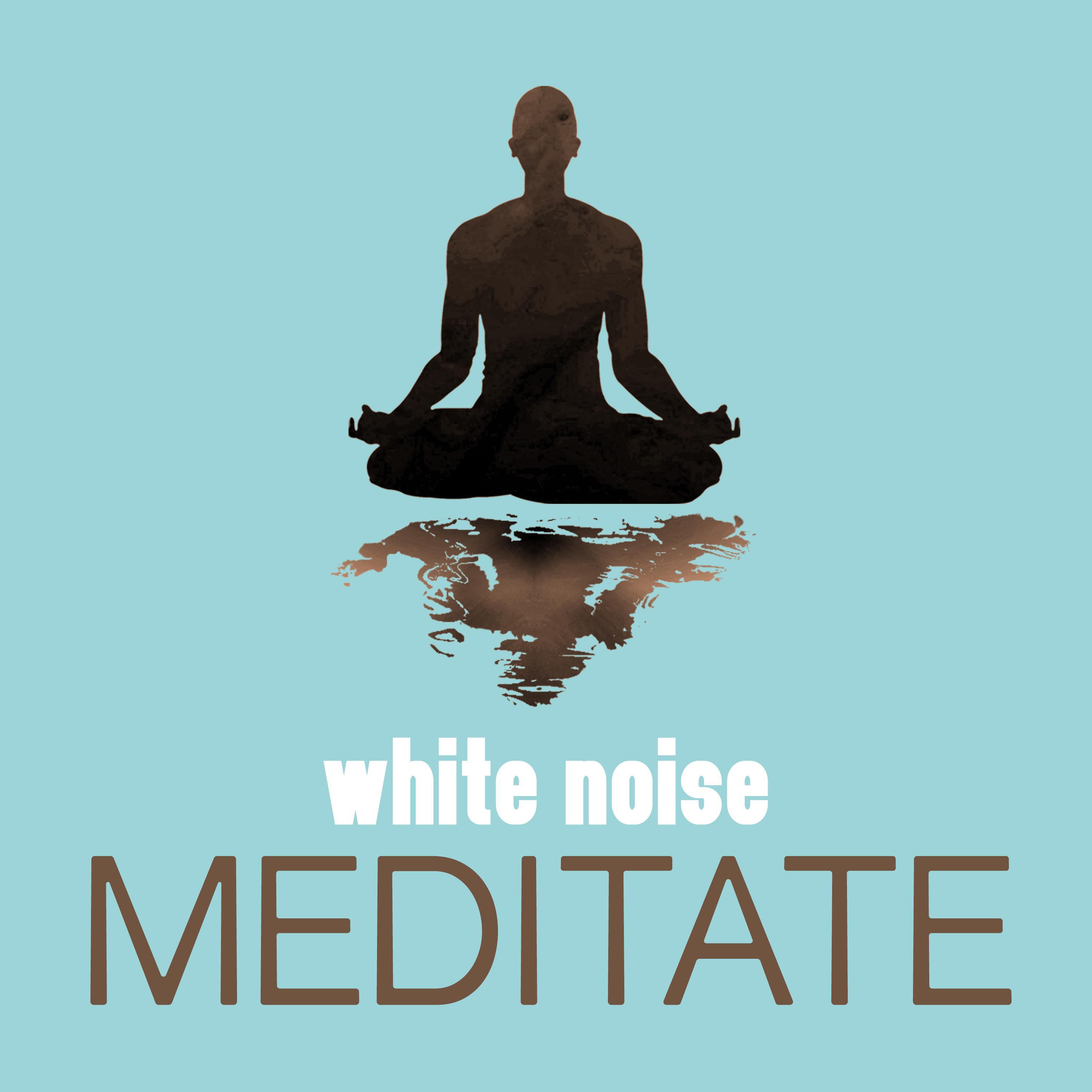 White Noise Meditate专辑