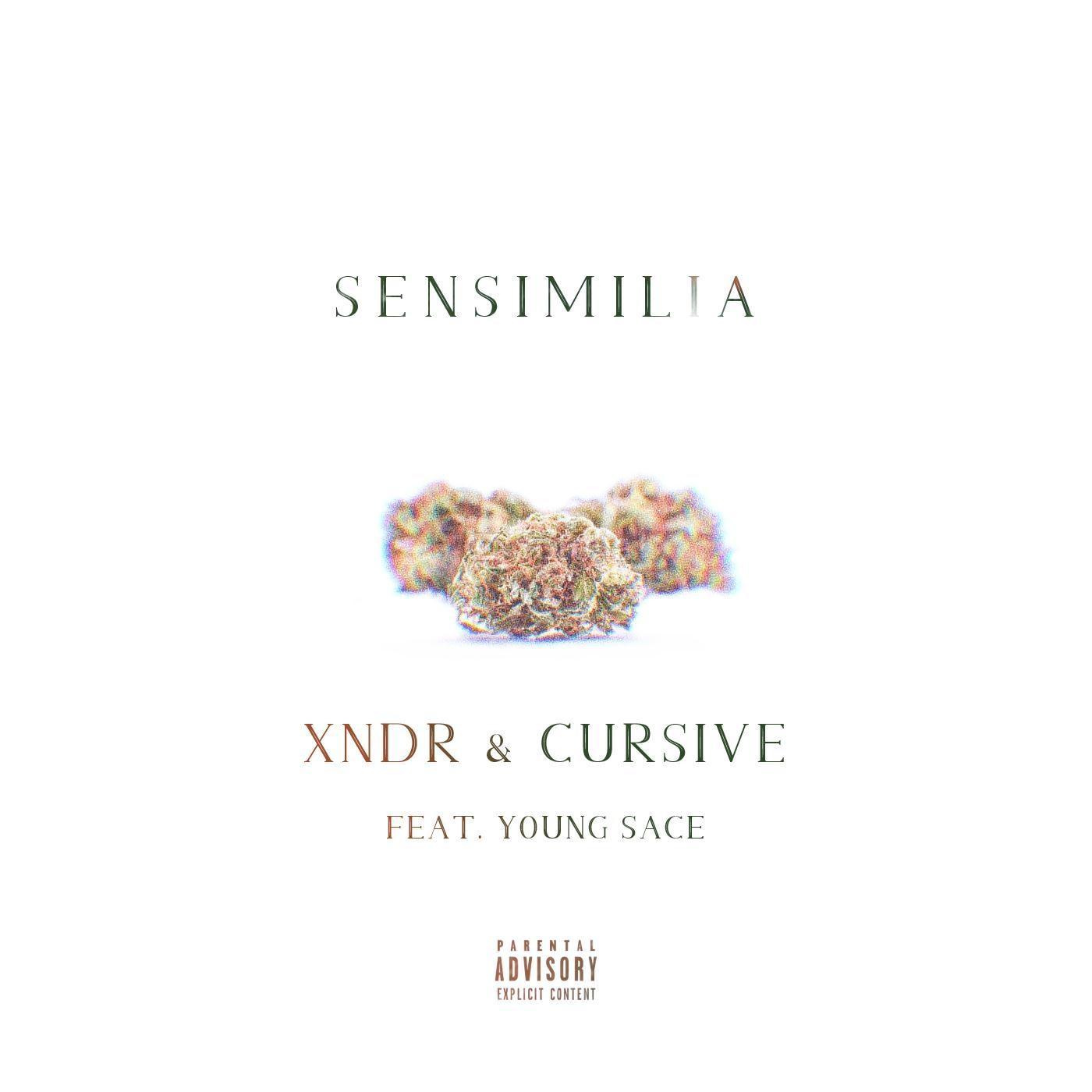XNDR - Sensimilia (feat. Young Sace)