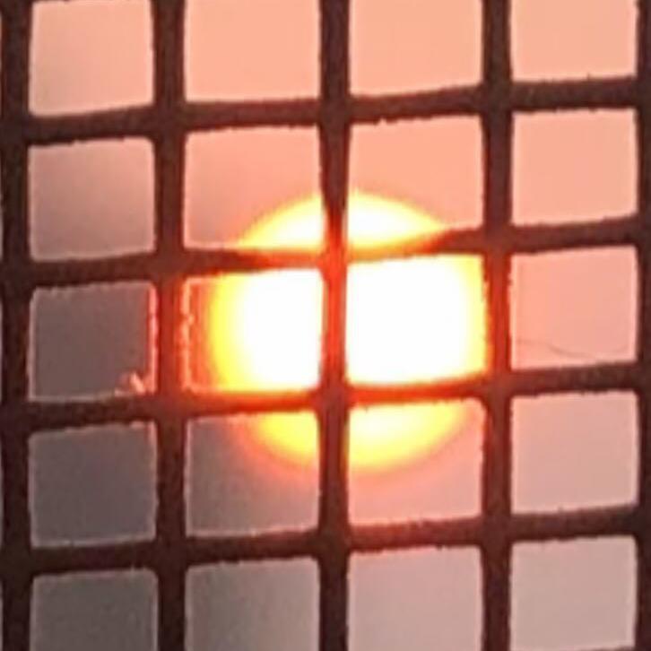 白夜