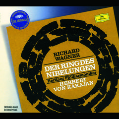 Die Walküre WWV 86B / Erster Akt:Orchestervorspiel