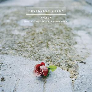 Avalon - Professor Green & Sierra Kusterbeck (karaoke) 带和声伴奏