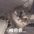 学猫叫
