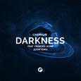 Darkness (ELPORT Remix)