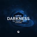 Darkness (ELPORT Remix)专辑
