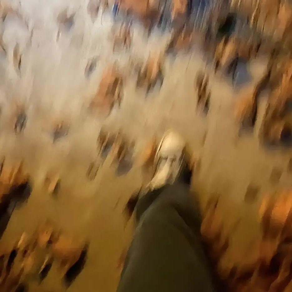 入秋的样子