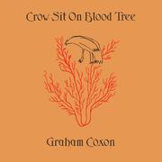 Crow Sit On Blood Tree
