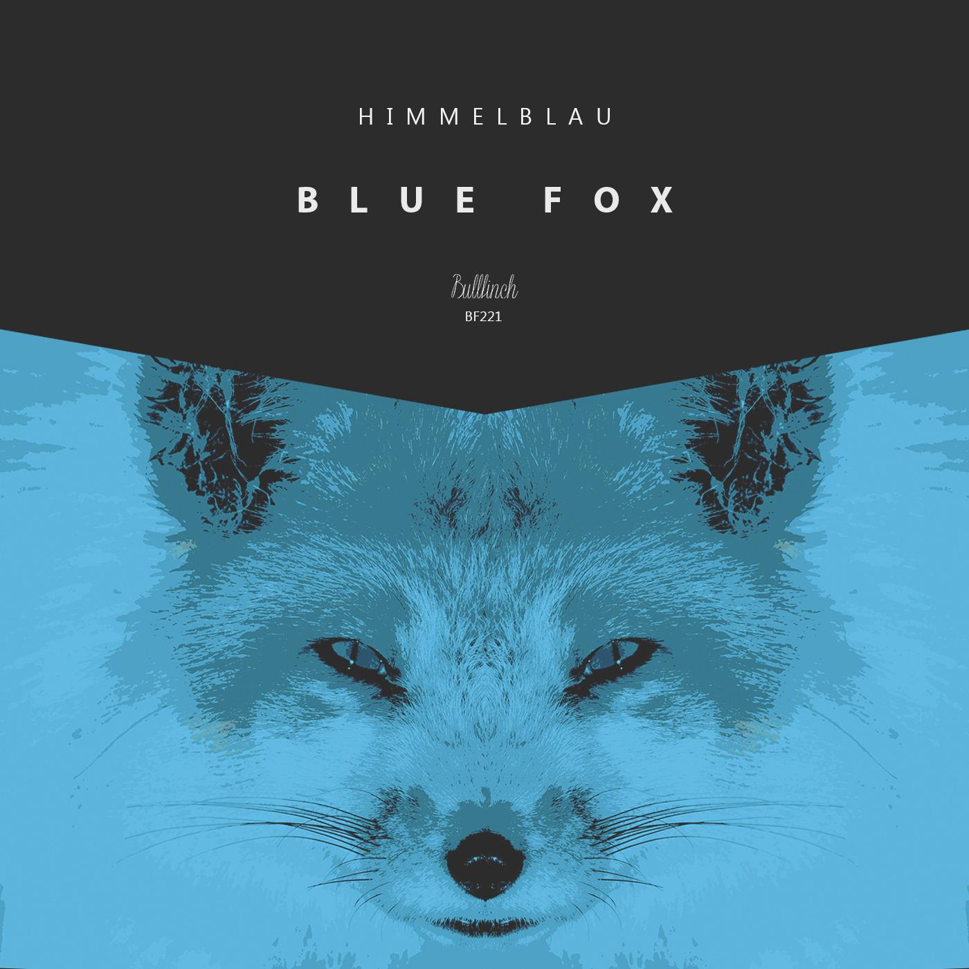 Blue Fox