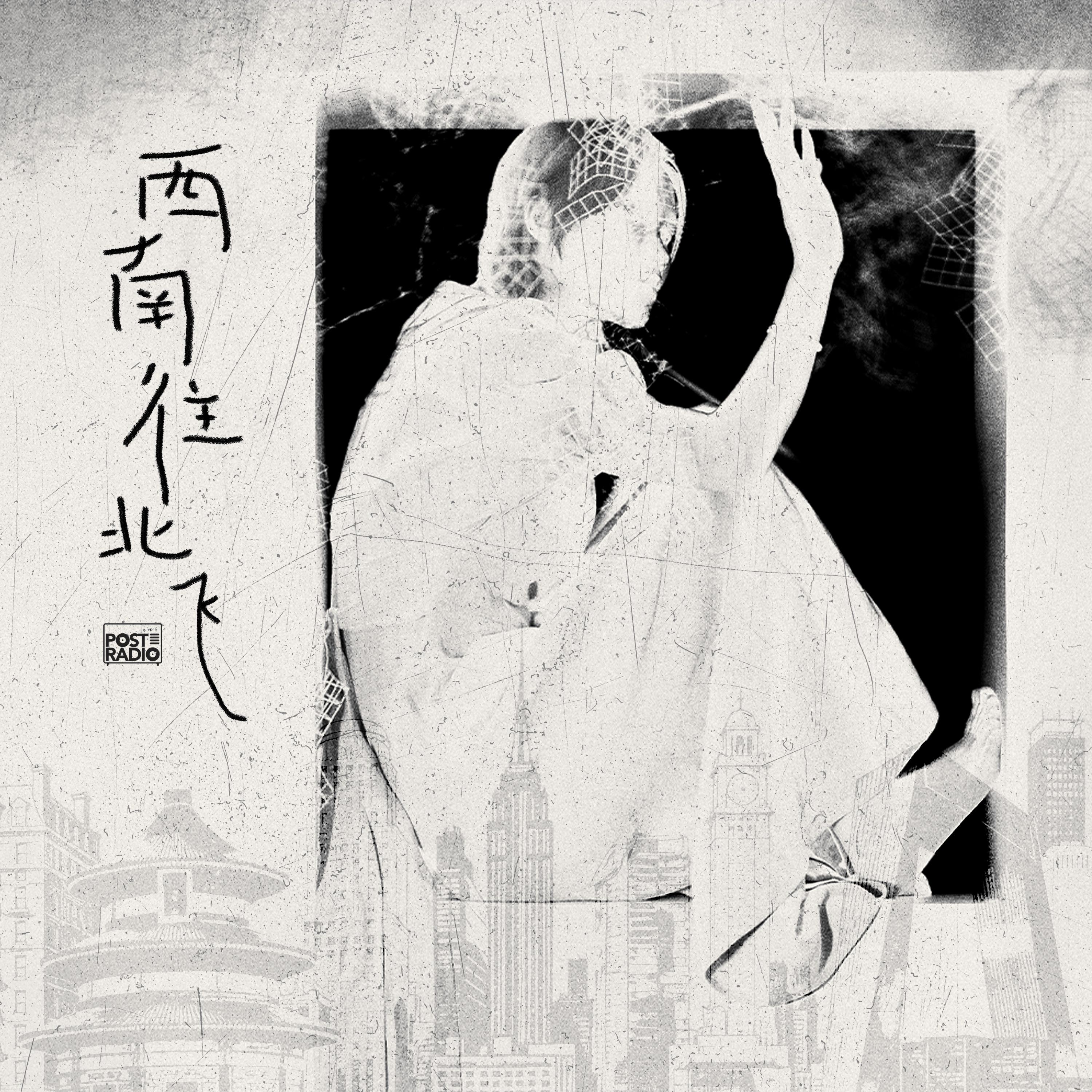 西南往北飞