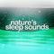 Nature's Sleep Sounds专辑