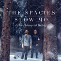 Slow Mo (Felix Palmqvist Remix)专辑