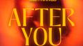 After You (feat. FAANGS)专辑