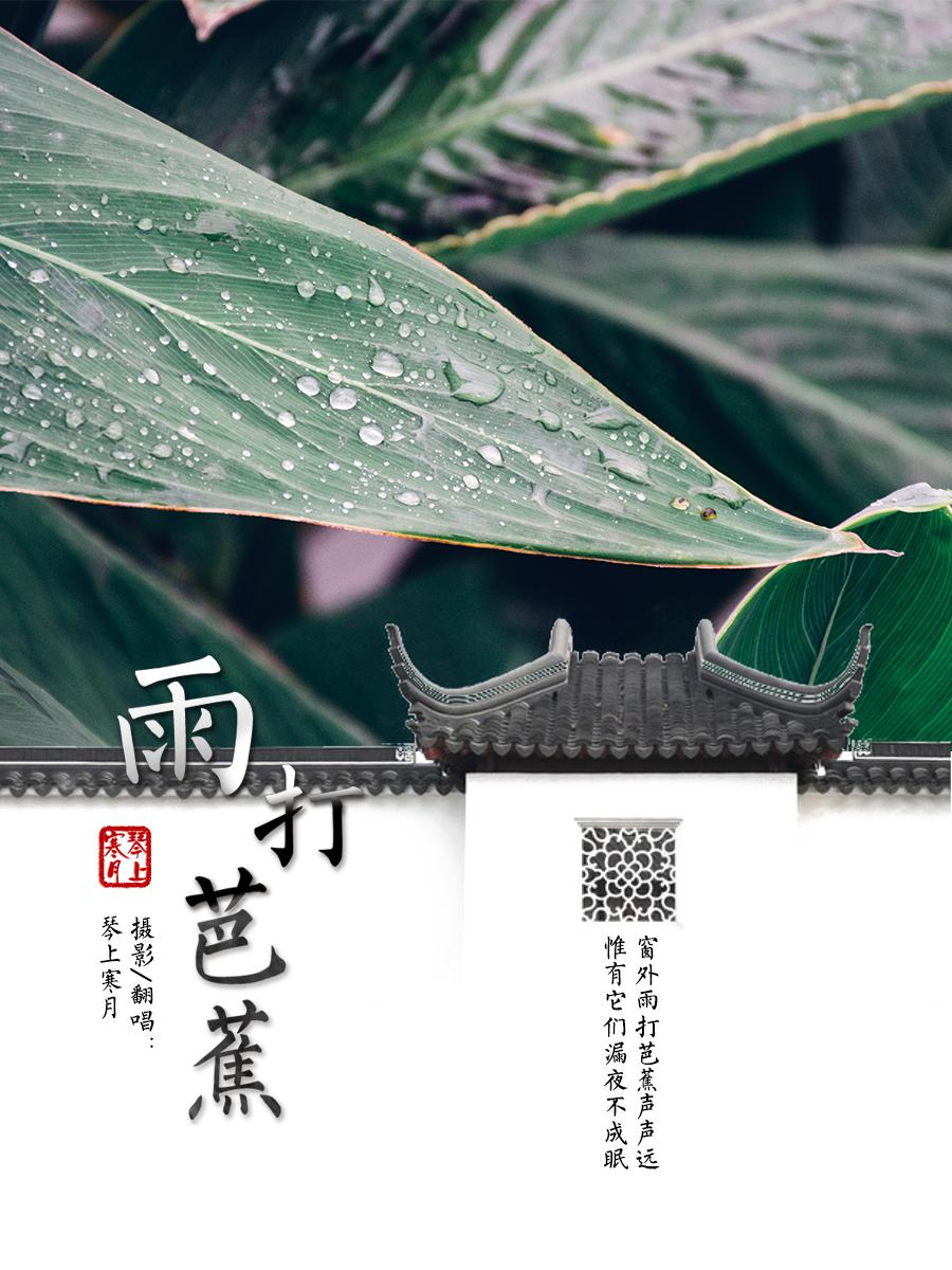 雨打芭蕉专辑