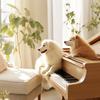 Pet Music Therapy - Furry Friends Piano Notes