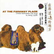 在那遥远的地方