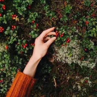 Acoustic | 柔和纯净，清澈自然