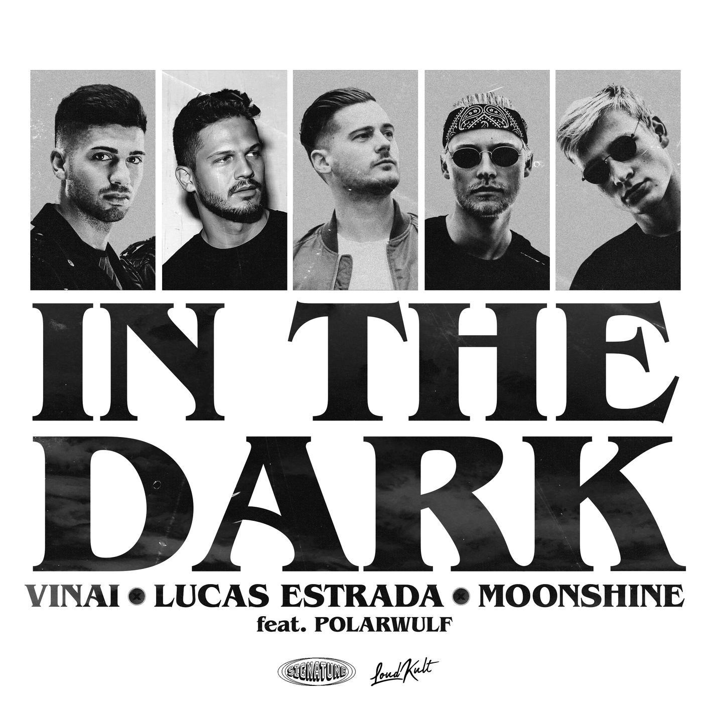 Vinai - In The Dark