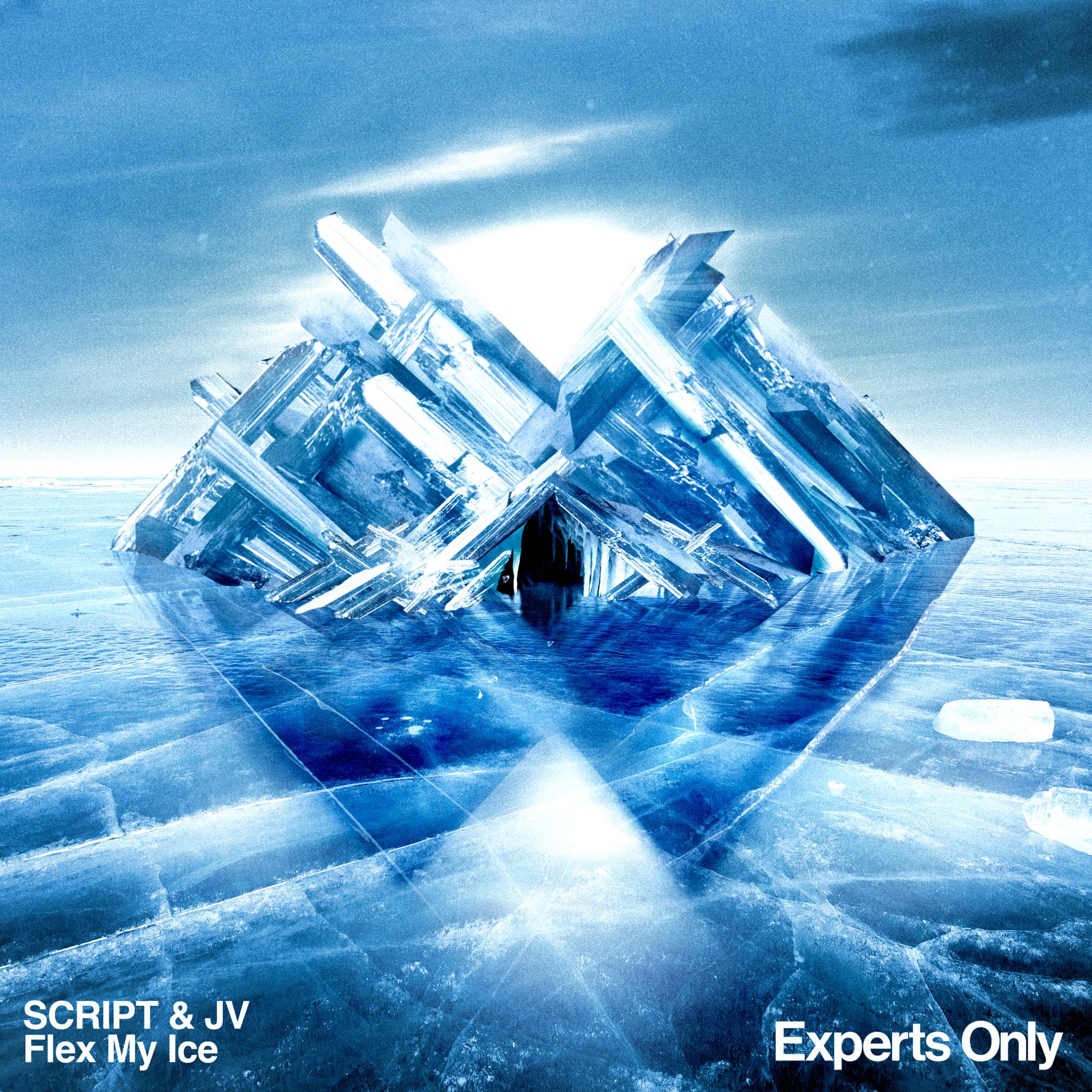 Flex My Ice (Extended Mix)