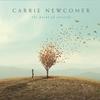 Carrie Newcomer - The Plumb Line