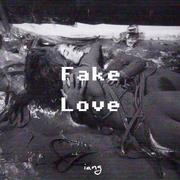 Fake Love