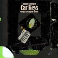 Car Keys (Gregg Turkington Remix)
