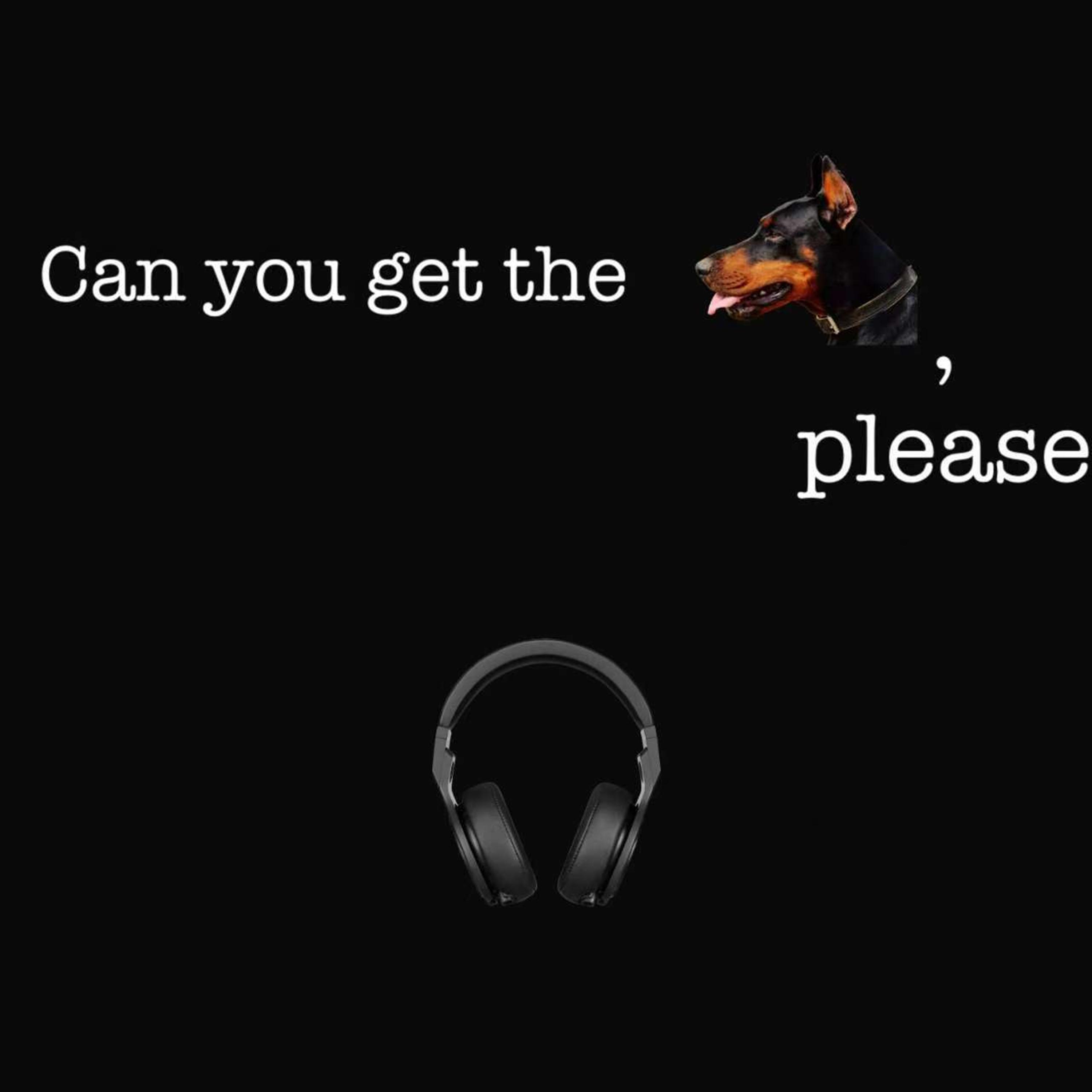 Can You Get the Dog, Please? (Extended)