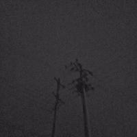 sinol(was dead) - ˢᴼᴿᴿᵞ ᴵ ᶜᴬᴺ'ᵀ ᵀᴬᴷᴱ ᴵᵀ ᴬᴺᵞᴹᴼᴿᴱ