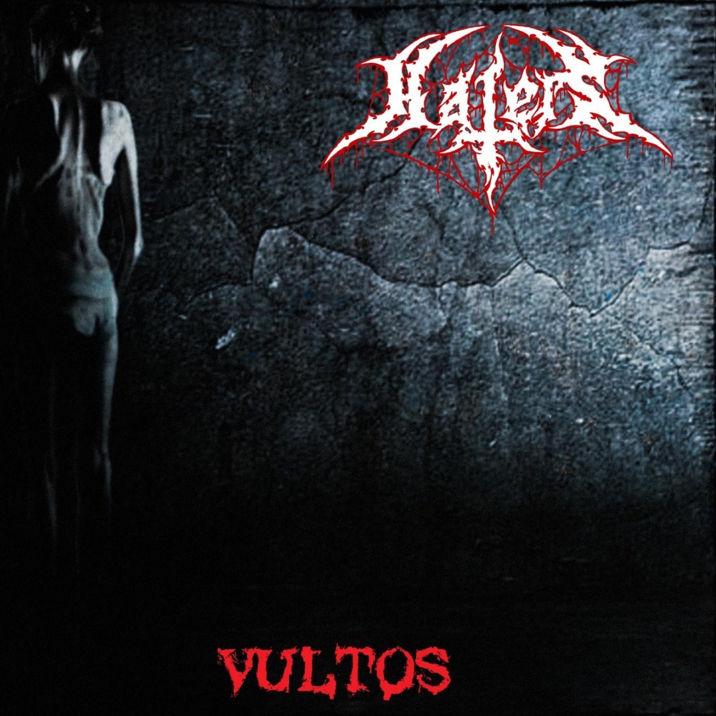 Vultos