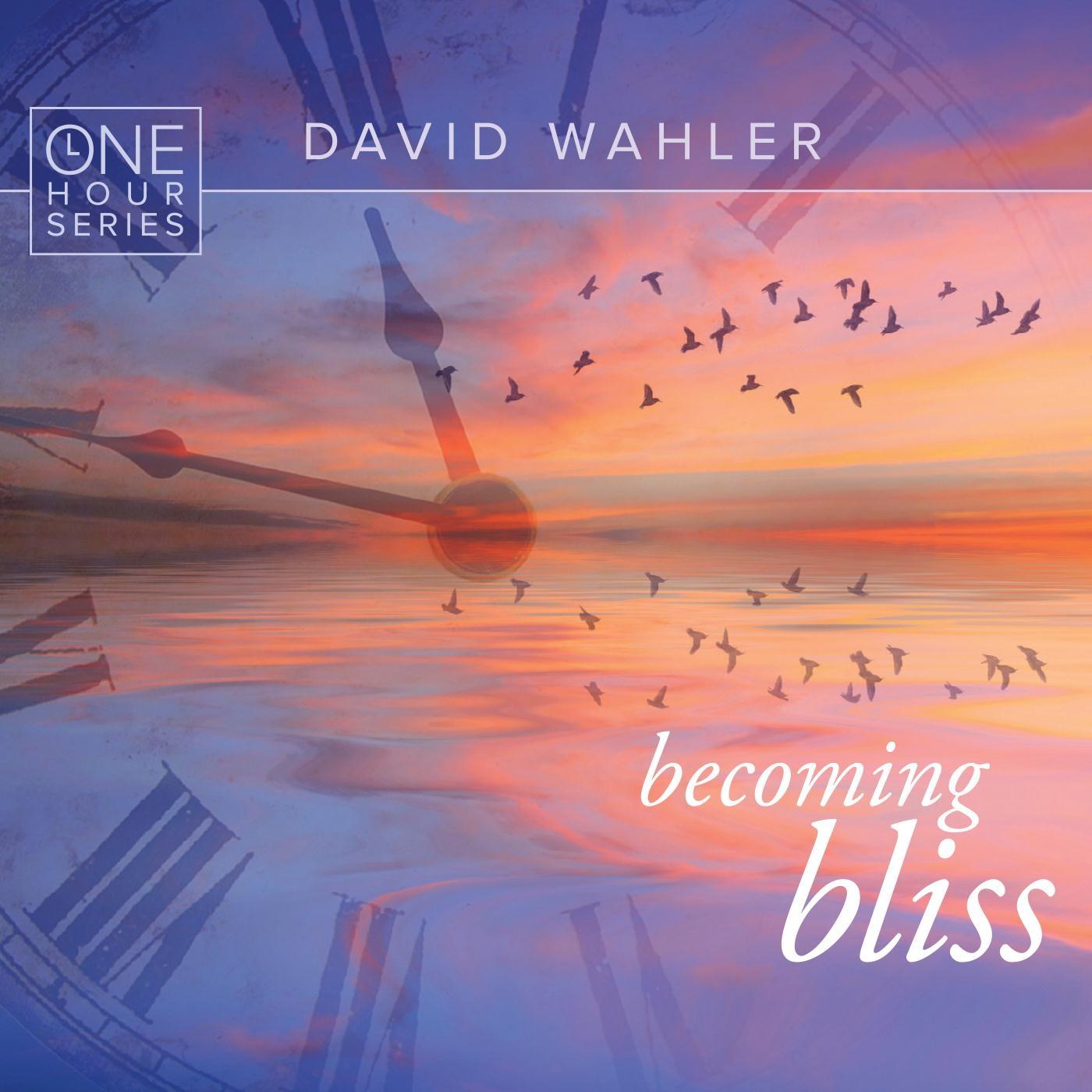 Becoming Bliss: One Hour Series