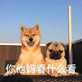 春夏店铺音乐part.2