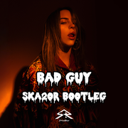 Billie Eilish-Bad Guy（SKa2or remix）