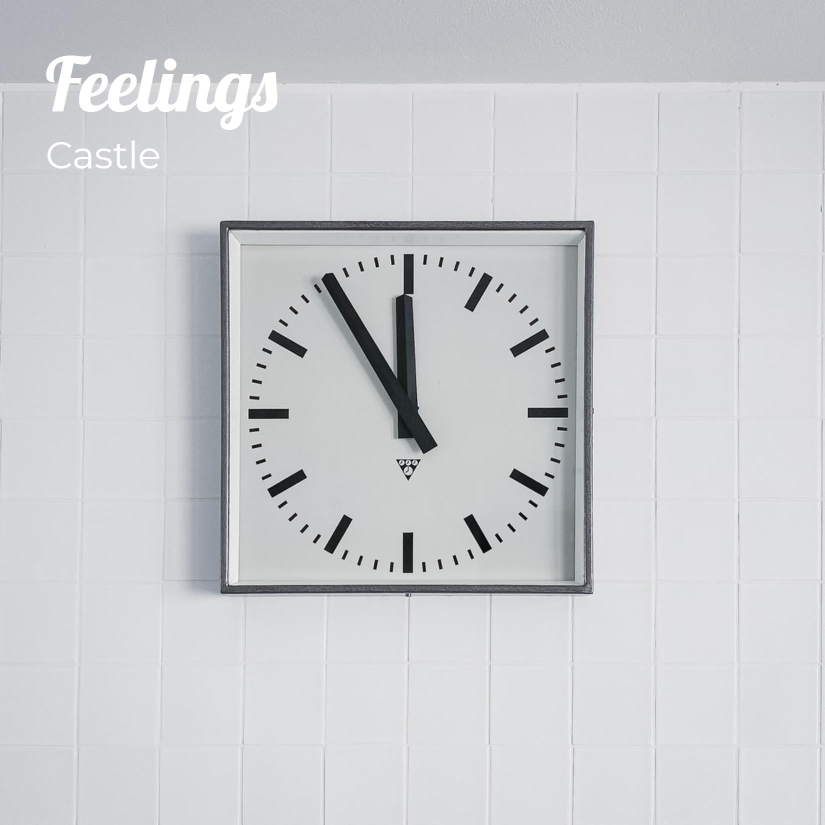 Feelings