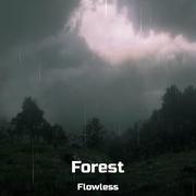 Forest专辑