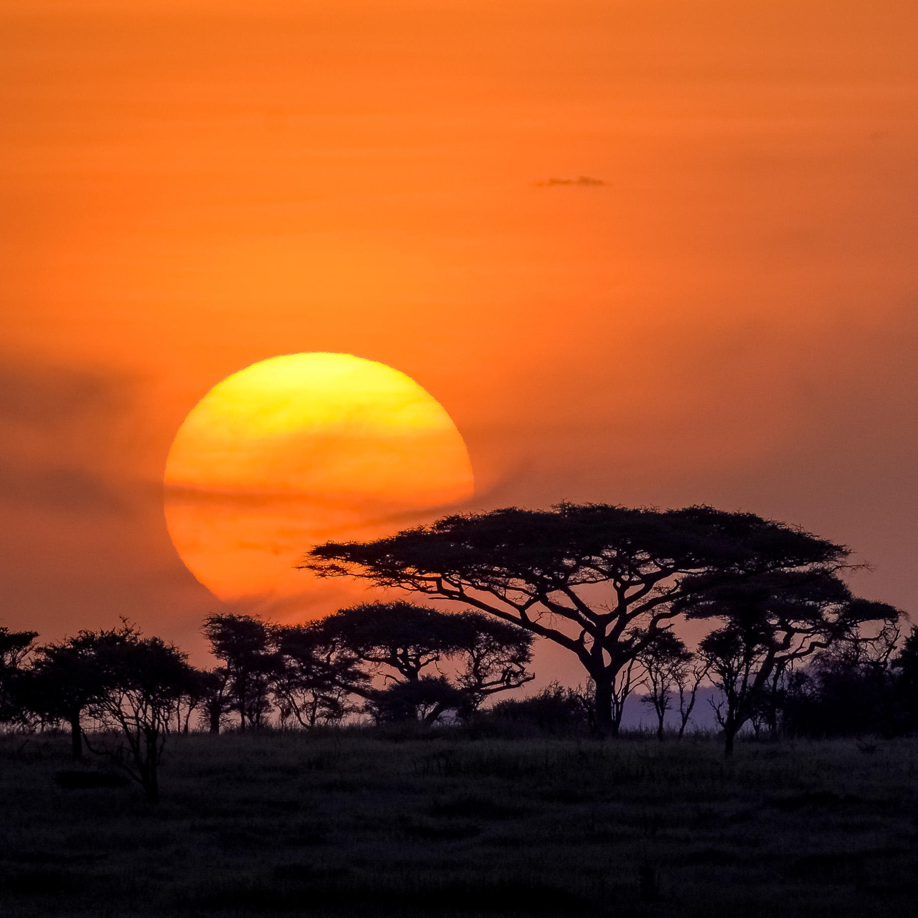 Umoja