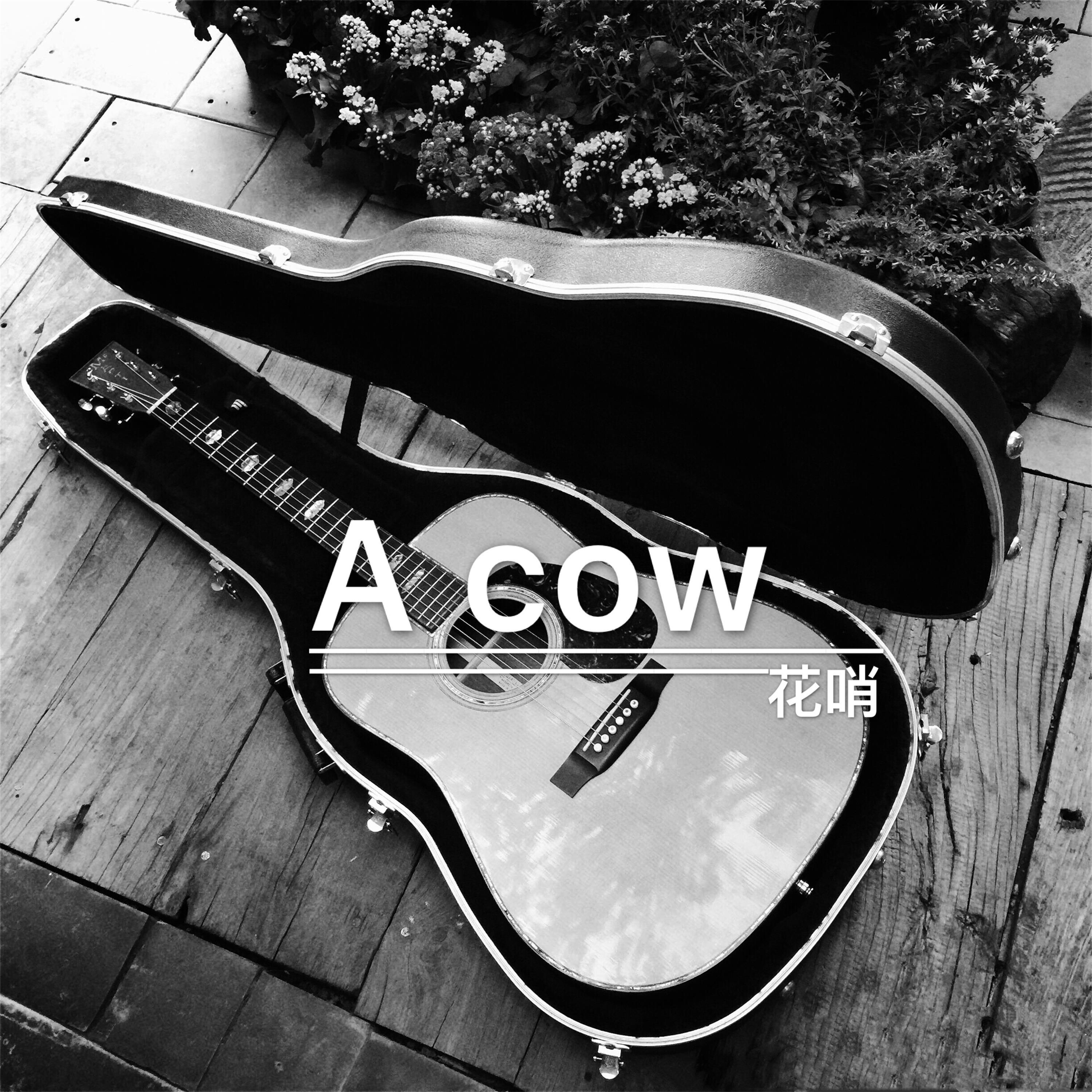 A cow (Radio Edit)专辑