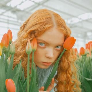 生活保鲜剂：加一支电子清新剂吧