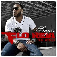 Sugar - Flo Rida ft. Wynter (PT karaoke) 带和声伴奏