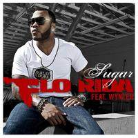 Sugar - Flo Rida Feat. Wynter (PT Instrumental) 无和声伴奏