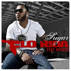 Sugar - Flo Rida ft. Wynter (PT karaoke) 带和声伴奏 （降4半音）
