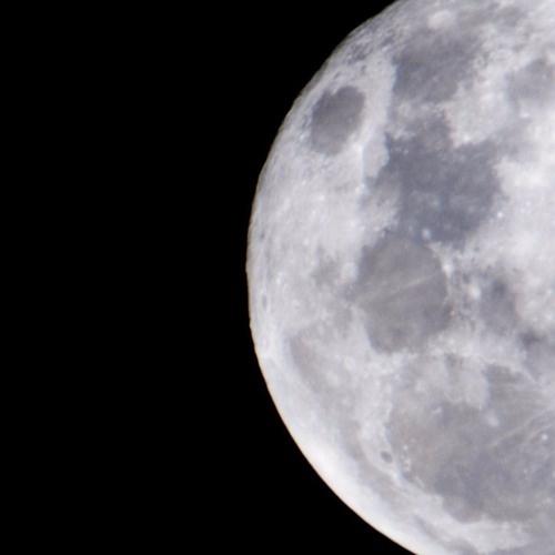 normality (Prod. Ryan Heinz)