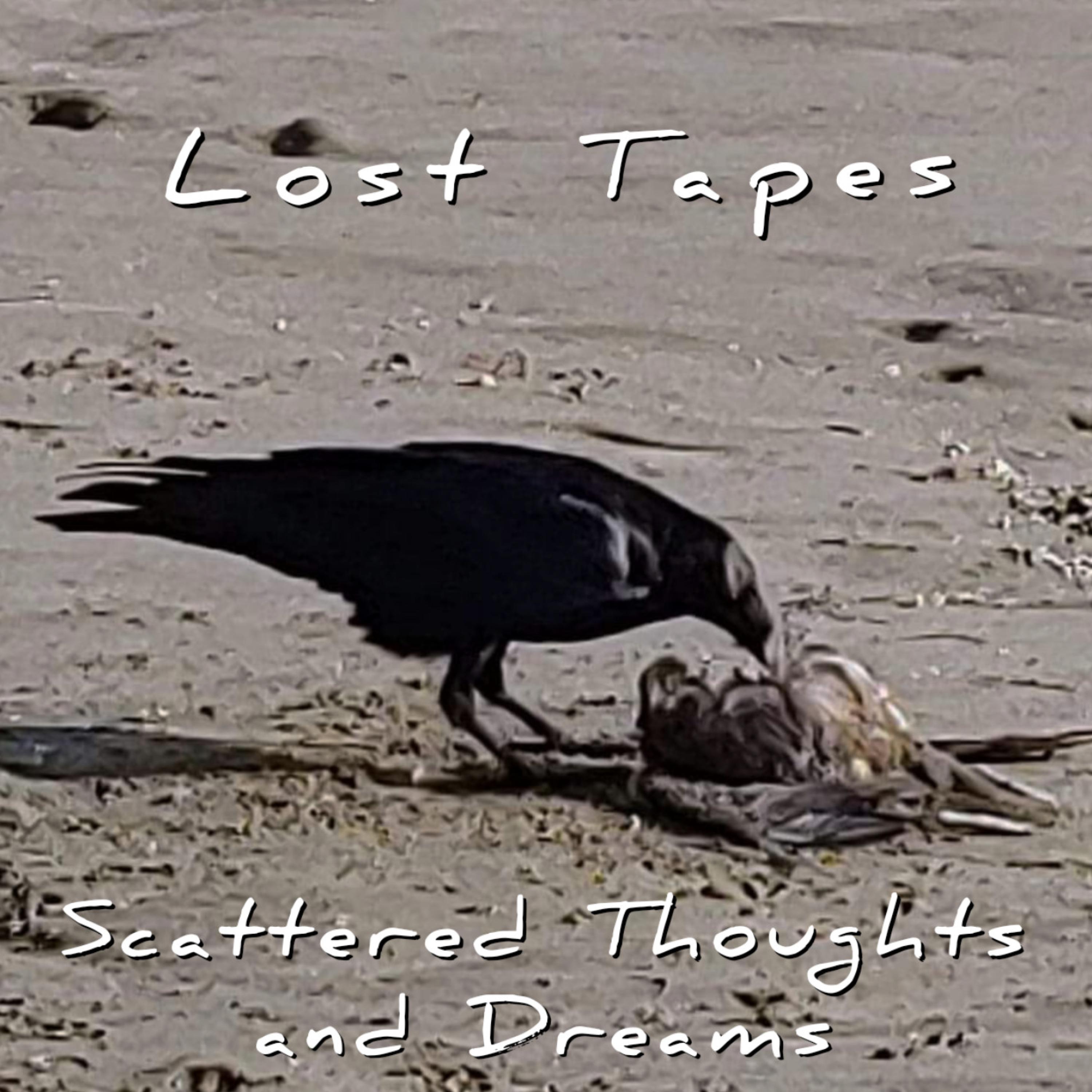 Scattered Thoughts and Dreams