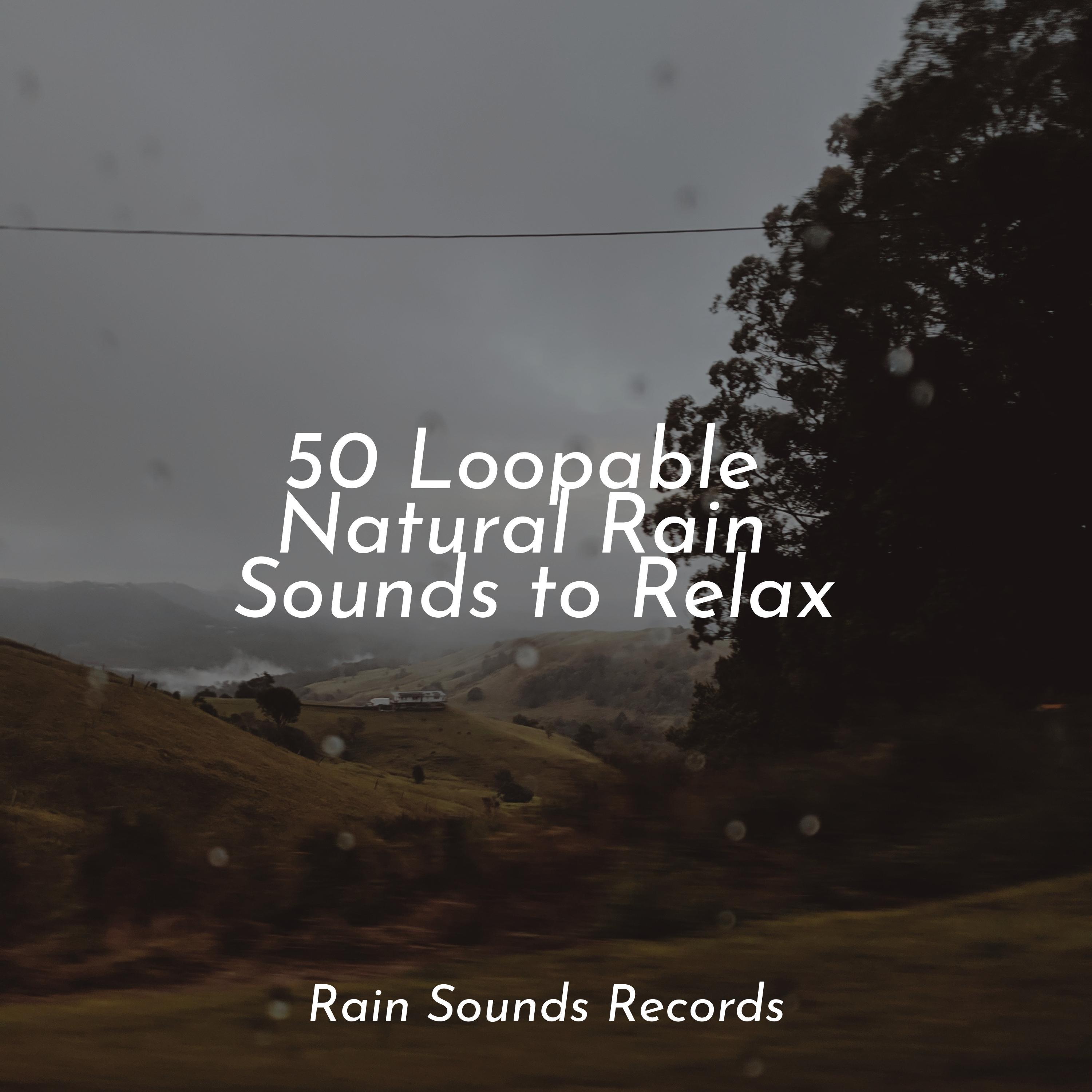 50 Loopable Natural Rain Sounds to Relax