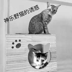 神乐野猫的诱惑