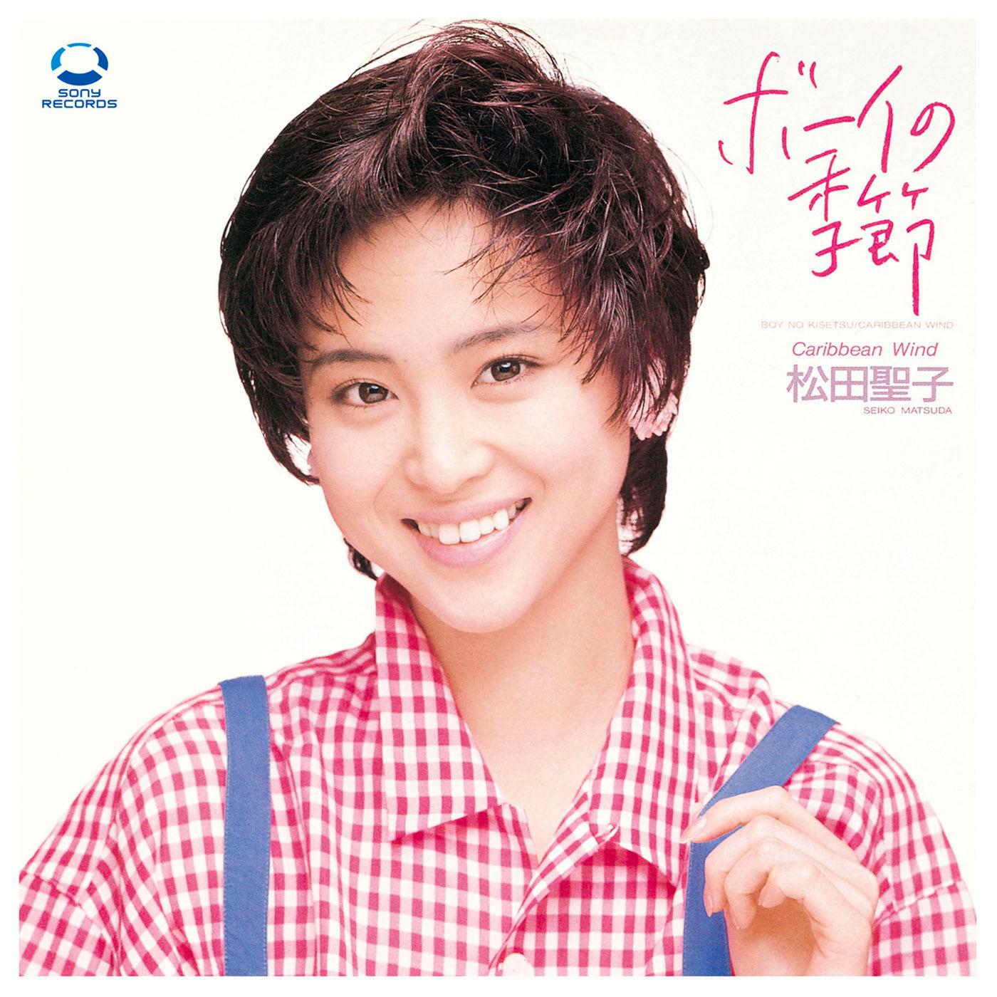 ボーイの季节(seiko story9180s hits collection91) - 松田圣子