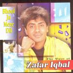 Bhool Ja Mere Dil (Best Of)专辑