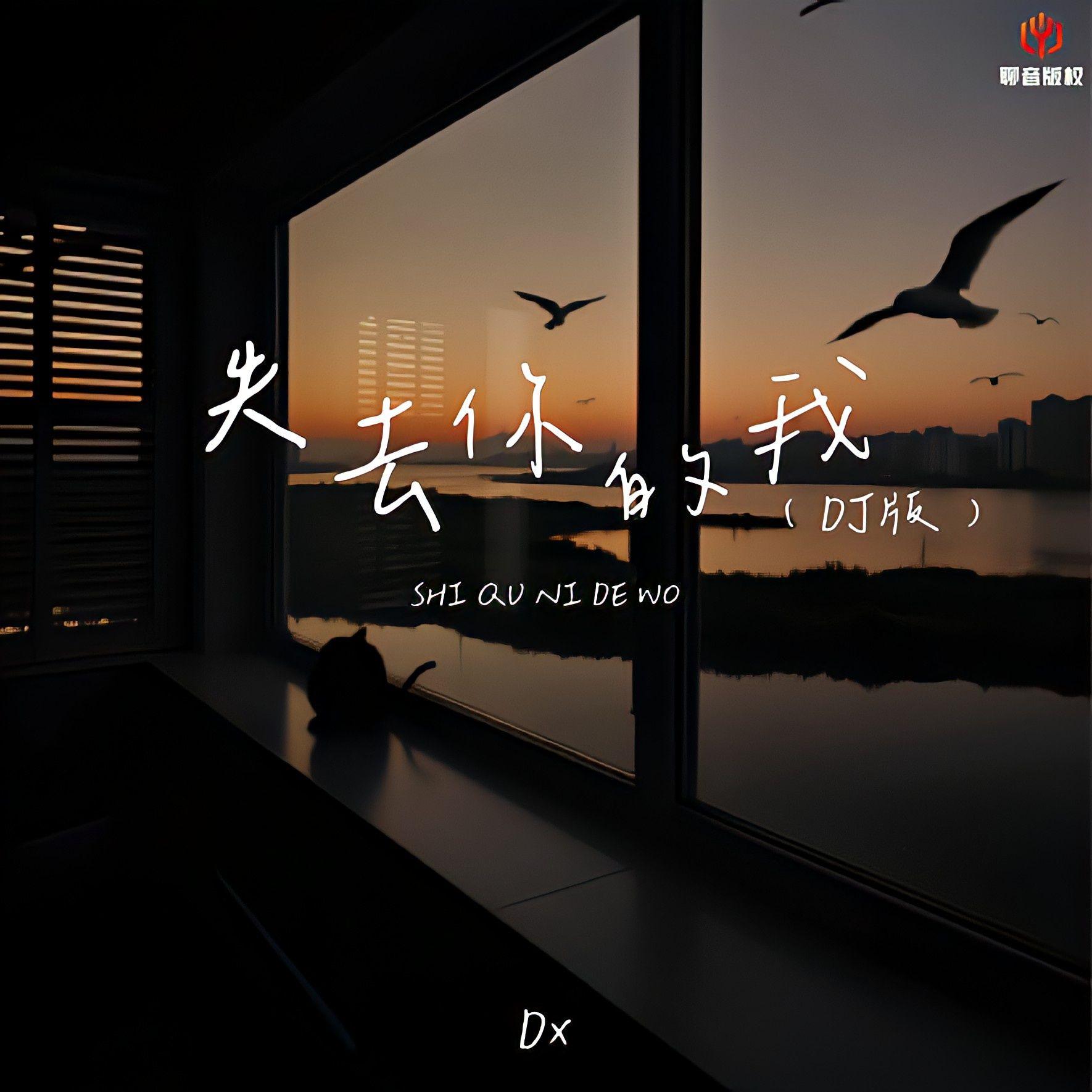 失去你的我（DJ豪大大版）
