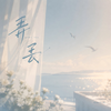 弄丢专辑
